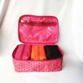 Cosmetic Tote